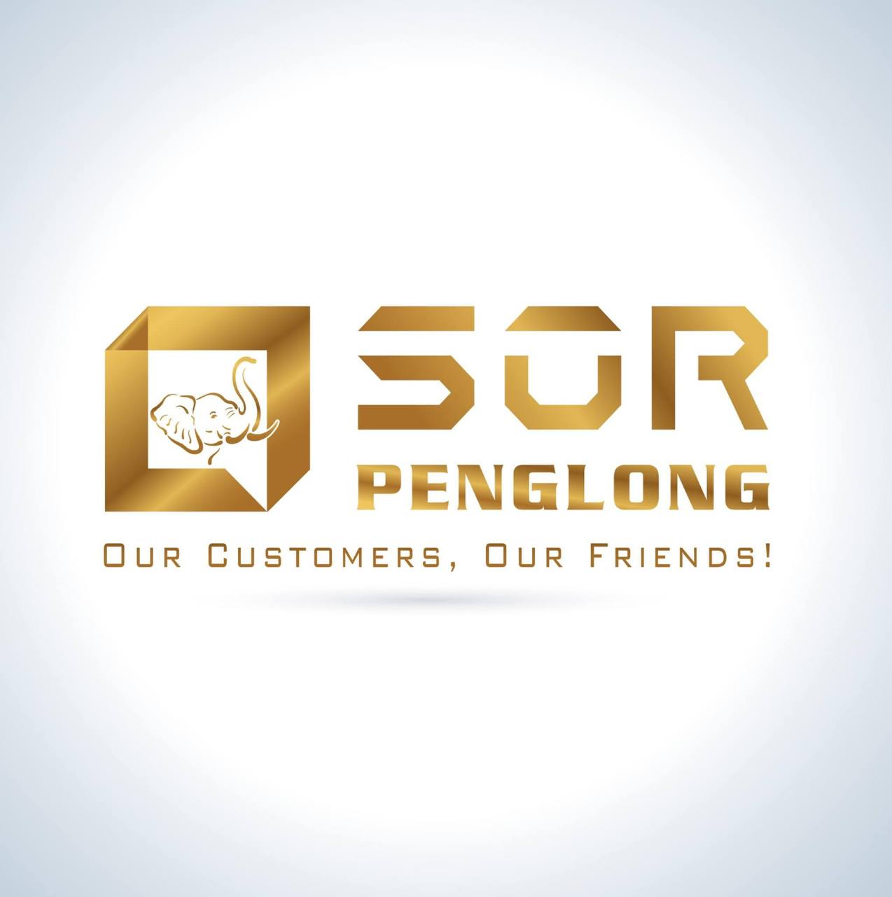 company logo