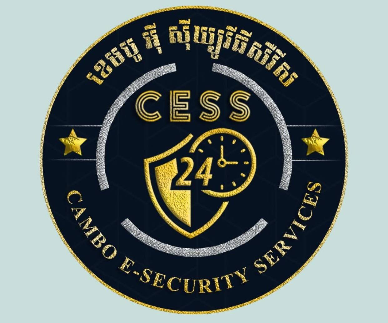 company logo